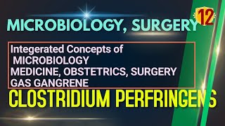 CLOSTRIDIUM PERFRINGENS Microbiology Topic 12 Clostridium GAS GANGRENE NEETPG  INICET [upl. by Lucio]