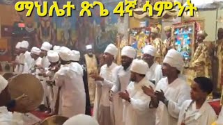 ማህሌተ ጽጌ ሐመረ ኖኅ ኪዳነ ምሕረት [upl. by Delija]