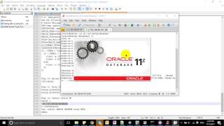 Install Oracle 11gr2 in Linux 7 x Step by step by Le Anh [upl. by Rowland]