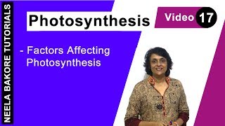 Photosynthesis  NEET  Factors Affecting Photosynthesis  Neela Bakore Tutorials [upl. by Annanhoj]