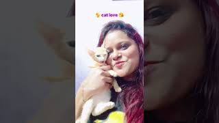 Tujhe main alko palko mein rakh lungi songrekhalifestylevlogs catlover [upl. by Home]