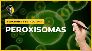 PEROXISOMAS  Funciones y estructura 😀 [upl. by Yespmed]