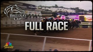 Breeders Cup 2024 Dirt Mile Full Race  NBC Sports [upl. by Klein405]