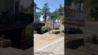 Naldehra Ya Shimla Tourist Kaha Jaye minivolgs shortvideo vlog minivlog vlogger vlog viral [upl. by Attelrac]