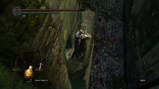 So I found a new shortcut in Dark Souls [upl. by Reteid]