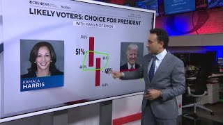 How a presidential election poll works [upl. by Aved]