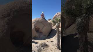 ciat lonbarde tocante thyris on a rock in Joshua Tree National Park [upl. by Anolla]