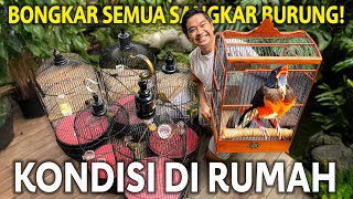 KONDISI SEMUA BURUNG KICAU AKU DI RUMAH KITA BONGKAR DAN BERSIHKAN SEMUA SANGKAR DISINI [upl. by Kone]