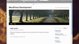 WordPress 3 MultiSite Setup [upl. by Graff]