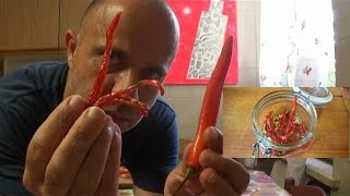 Peperoncini essiccati al sole tutorial come e dove essiccarli conservazione e suggirimenti [upl. by Ahsienat733]