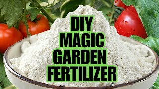 Magic Fertilizer For All Vegetables  100 Success Results [upl. by Fernyak]