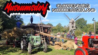 MUSEUMSDORF CLOPPENBURGERNTEN und ESSEN4K cloppenburg museumsdorf ernte traktor [upl. by Ennaehr]