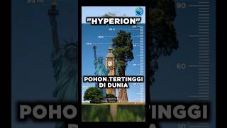 Ini Adalah quotHyperionquot Pohon Tertinggi di Dunia [upl. by Bronson]