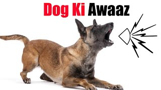 Kutte Ki Awaaz  Dog Ki Awaz  Kutta ka Bhokne Ka Awaz  Khatarnak Kutte Ki Awaj  Dog Voice Sound [upl. by Aileno932]