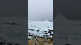 Pebble Beach Pacific Grove montereycalifornia pacificgrove [upl. by Domingo175]