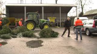 Kerstboom levert Borselse kinderen zakcentje op [upl. by Chuah]