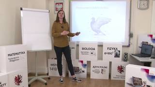 Biologia  klasa 6 SP Ptaki  kręgowce zdolne do lotu [upl. by Free68]