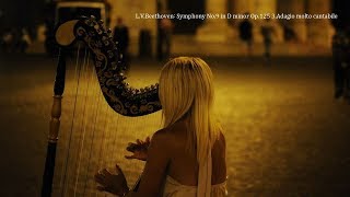 Beethoven：Symphony No9 3rd Harp Ver ﾍﾞｰﾄｰｳﾞｪﾝ：交響曲 第9番 第3楽章 ﾘｽﾄ編 2台ﾋﾟｱﾉ版ﾊｰﾌﾟ音源 [upl. by Wyne]