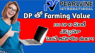 Pearlvine International Is there any chance to increase DP farming value [upl. by Anthea]