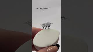 Cashmere volume lashes🖤003 005 007 are available [upl. by Notlad703]