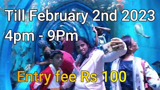 Aqua festival in Bangalore JP NAGAR 8th PHASE  Underwater Tunnel Aquarium [upl. by Odracir]