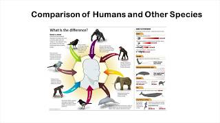 What makes humans different from animals The Marxist view of human consciousness  John Parrington [upl. by Acinahs200]