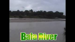 Buxa Tiger Reserve Jungle Safari Core Area Full Video [upl. by Anafetse441]