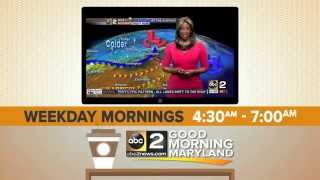 Lynette Charles from Good Morning Maryland [upl. by Nivlag]