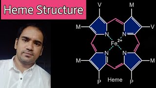 Heme  Structure  Porphyrin  types of porphyrins  bond between oxygen and iron [upl. by Anide]