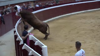 Logroño 2024 Fiestas de San Mateo Concurso de cortesArriazu [upl. by Yelsek700]