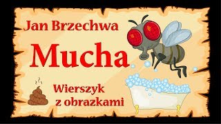 Mucha  Jan Brzechwa  animowany wierszyk z obrazkami [upl. by Allebasi798]