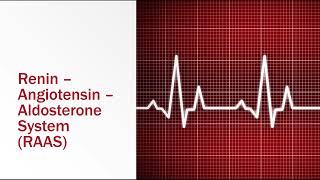 ReninAngiotensinAldosterone System [upl. by Areemas855]