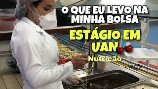 O QUE EU LEVO PARA O ESTÁGIO DE UAN l Estágio obrigatório de Nutrição em UAN [upl. by Kanter]