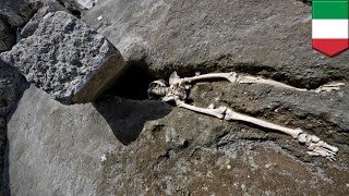 Archaeologists find skeleton of Pompeii man squashed by rock  TomoNews [upl. by Custer]