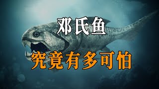 邓氏鱼究竟有多可怕？ [upl. by Micheline]