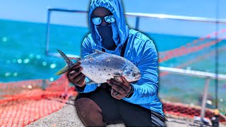 Pompano Fishing at The HOTTEST Pier In Florida 🔥🔥 [upl. by Llebana]