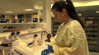 Miosotis Galdos Medical Laboratory Technician Program [upl. by Droc125]