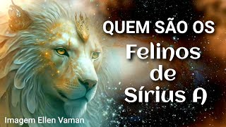 QUEM SÃO OS FELINOS DE SÍRIUS A [upl. by Roselin935]