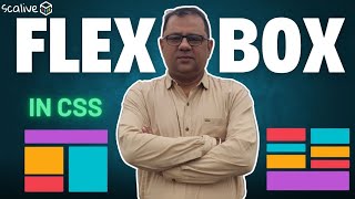 CSS Flex Box  Lecture 20 css webdevelopment scalive [upl. by Odarnoc]