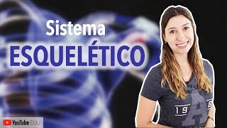 Sistema Esquelético 15 Introdução  Anatomia e etc [upl. by Kuhn]