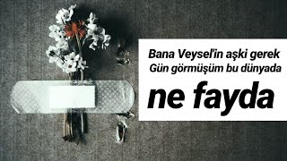 Bana Veyselin aşkı gerek  HiraiZerdüş [upl. by Kruter]