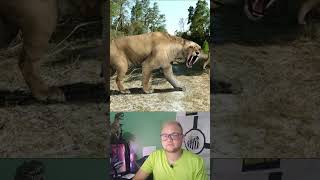 Lobo Terrivel vs Smilodon animals shorts dinosaur explore curiosidades [upl. by Caria]