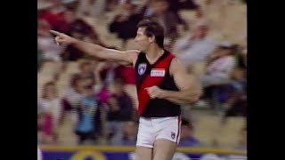 Essendon Highlights  Rd 5 1991 v Sydney [upl. by Kassandra]