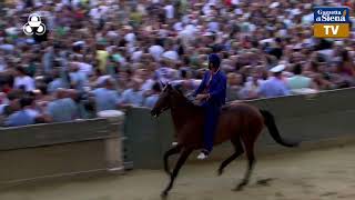 Terza prova  Palio di Siena 2 luglio 2024  SOGNO PALIO [upl. by Zara]