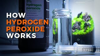 Hydrogen Peroxide for Algae Control in the Aquarium [upl. by Pengelly]