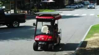 Solar Powered Golf Cart 400 Watt Monocrystalline 48 Volt [upl. by Car993]