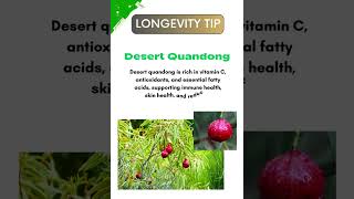 quotQuandong Quest Desert Superfruit for Longevityquot [upl. by Ecinwahs]