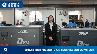 20 Bar High Pressure Air CompressorOlymtech [upl. by Guadalupe]