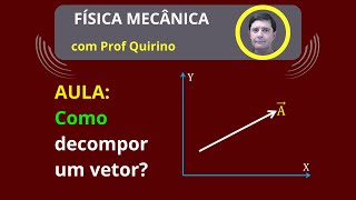 Aula 07  Como decompor um vetor  Componentes do vetor  Teorema de Pitágoras [upl. by Capps]