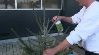 AlfaSTOP kerstboom impregneer voor particulier gebruik instructie  tutorial [upl. by Tay359]